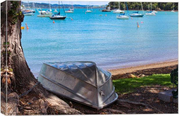 A boat on the shore in Russell, New Zealand Canvas Print by Jonathan Moulton