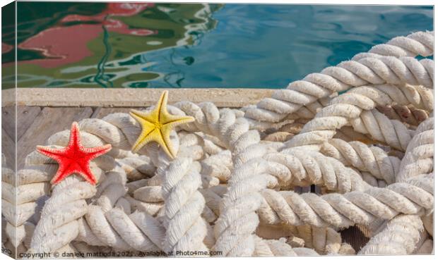detail of a rope for mooring with two sea starfish Canvas Print by daniele mattioda