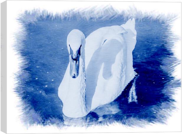 CYANOTYPE EFFECT on the white swan  Canvas Print by daniele mattioda