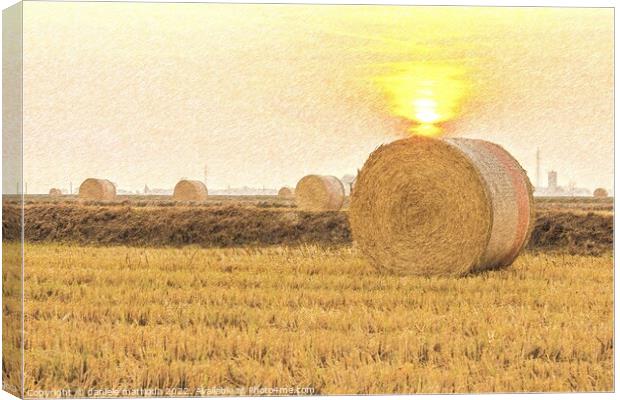PENCIL SKETCH EFFECT on close-up of a hay cylindrical bale in a farmland Canvas Print by daniele mattioda