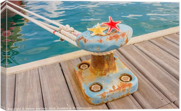 detail of a bollard with two starfishes and a rope Canvas Print by daniele mattioda
