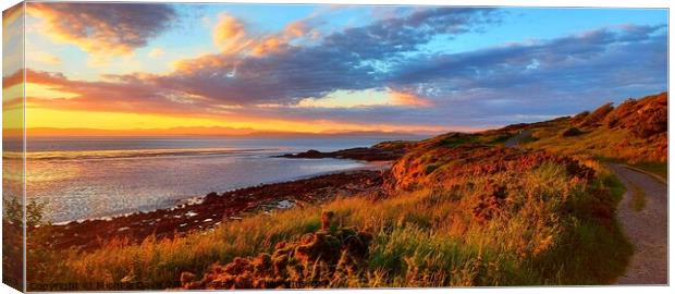 Heysham Beach Sunset Canvas Print by Michele Davis