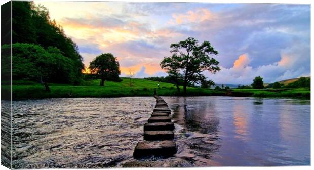 Whitewell Stepping Stones Canvas Print by Michele Davis