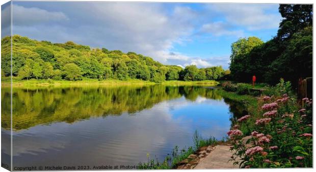 Yarrow Valley Country Park Canvas Print by Michele Davis