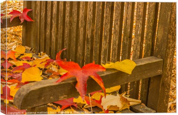 a foliage pillow on a bench in a woodland Canvas Print by susanna mattioda