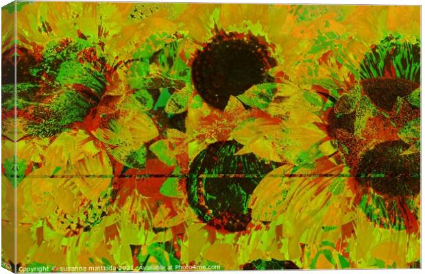 Glitch art on sunflowers Canvas Print by susanna mattioda