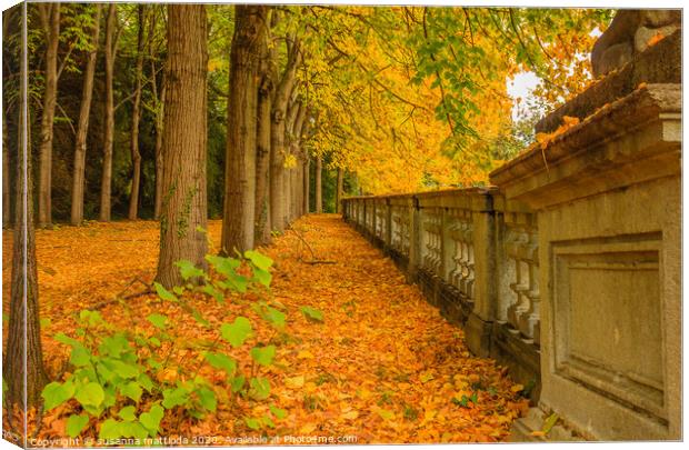 a colorful autumnal underwood in a park Canvas Print by susanna mattioda