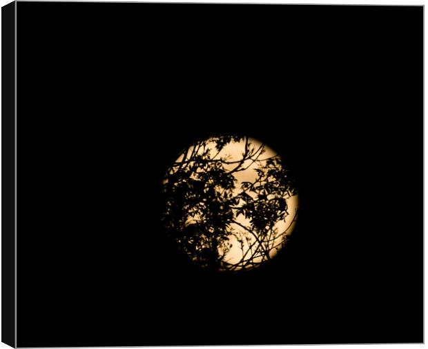 Silhouette moon Canvas Print by Sam Owen