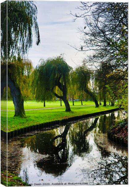 Tree reflections Canvas Print by Sam Owen