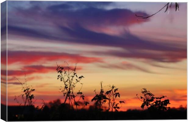Sunset in Norfolk  Canvas Print by Sam Owen