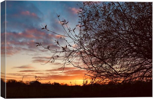 Beautiful sunset  Canvas Print by Sam Owen