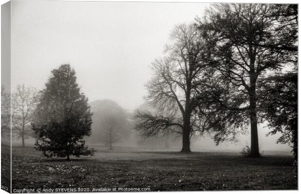 Foggy Landscape  Canvas Print by AJS Photography