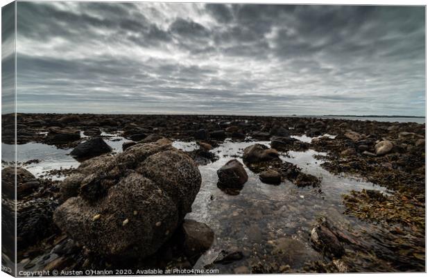 Lindisfarne contemplation Canvas Print by Austen O'Hanlon