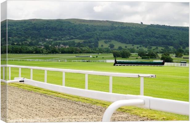 looking out across Cheltenham Race Course Canvas Print by andrew gardner