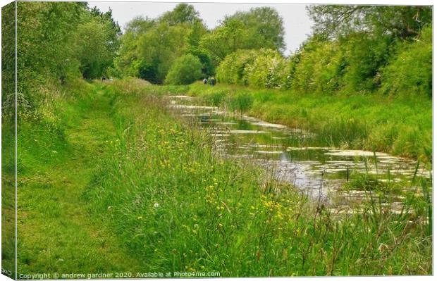 Nature Reserve Canvas Print by andrew gardner