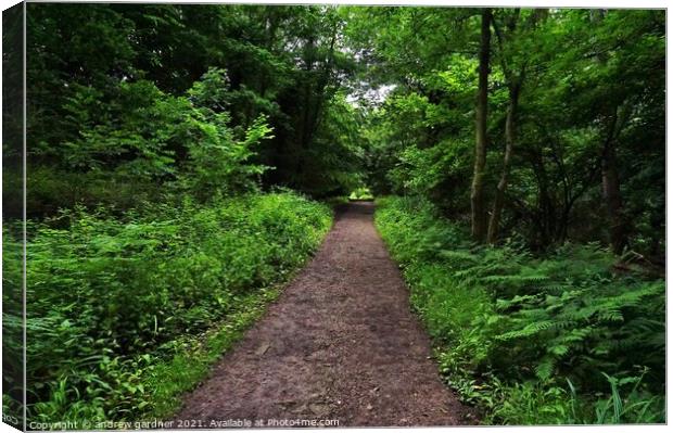 Woodland Pathway Canvas Print by andrew gardner