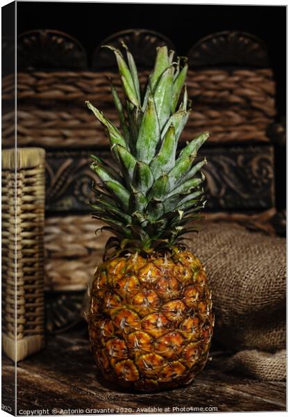 Still life with pineapple on wooden rustic table. Canvas Print by Antonio Gravante