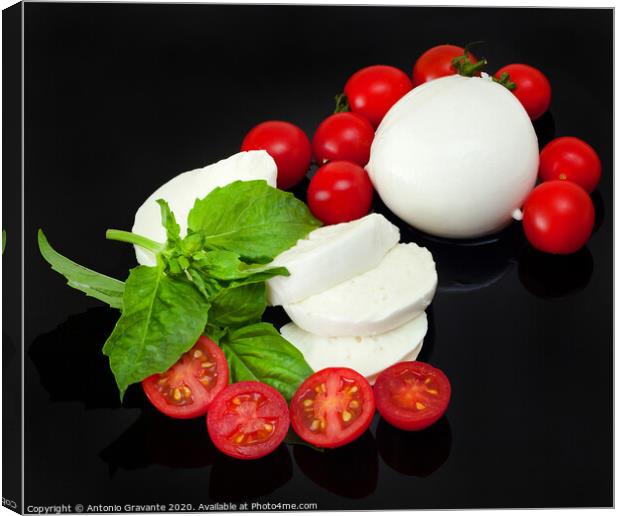 Mozzarella di Bufala, fresh cheese, italian dairy product. Canvas Print by Antonio Gravante