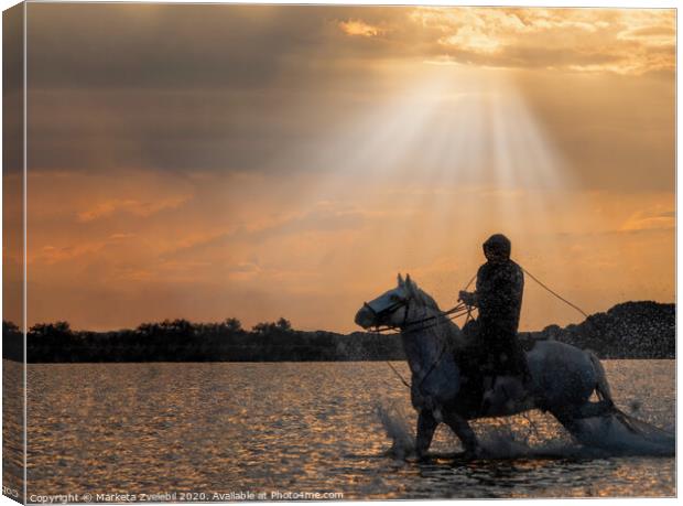 A horse guardian riding in the sun glow Canvas Print by Marketa Zvelebil