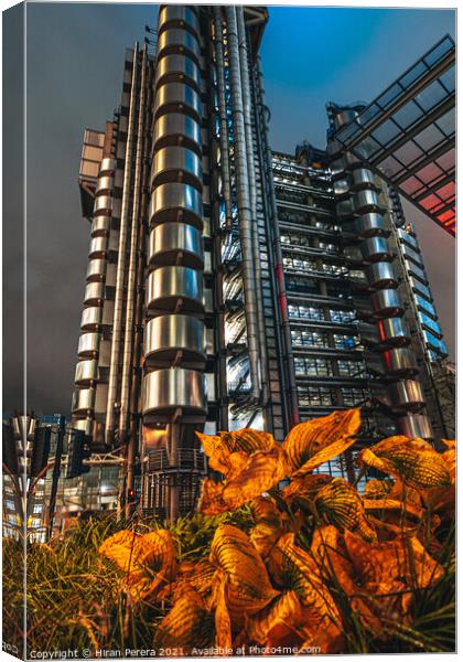 Lloyds Buildings at Night, City of London Canvas Print by Hiran Perera
