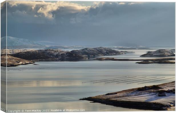 Weisdale Voe, Shetland Islands Canvas Print by Terri Mackay