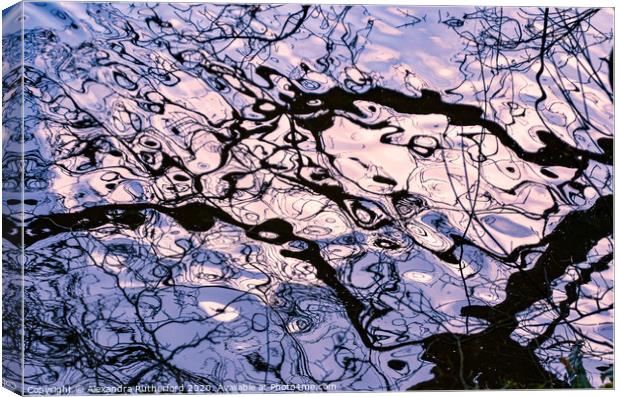 Abstract Aquatic Branch Reflection Canvas Print by Alexandra Rutherford