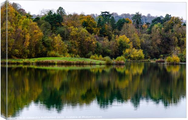 Woodland Lake Reflection Canvas Print by Alexandra Rutherford