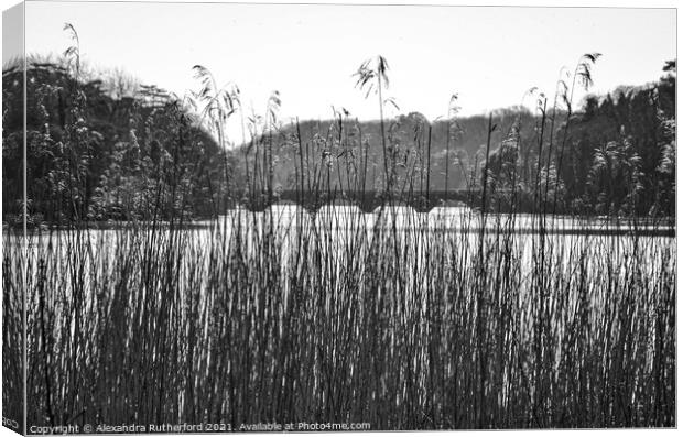 Stackpole Lake Pembrokeshire Outdoor  Canvas Print by Alexandra Rutherford