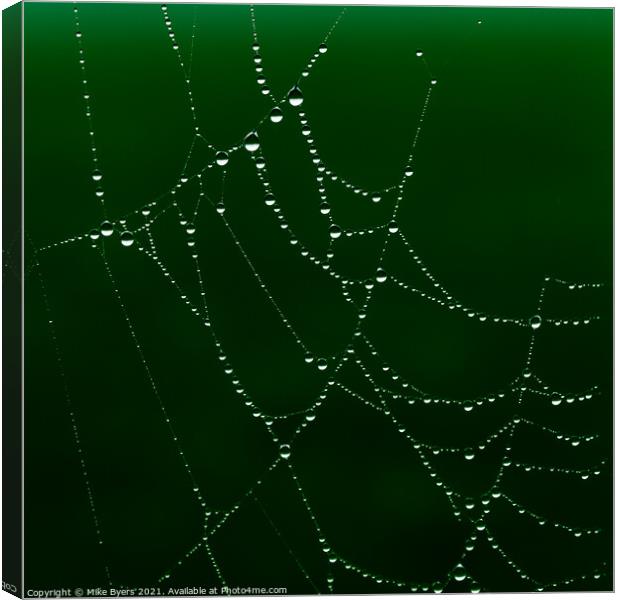 Enchanting Spider's Web Glistening with Dewdrops Canvas Print by Mike Byers