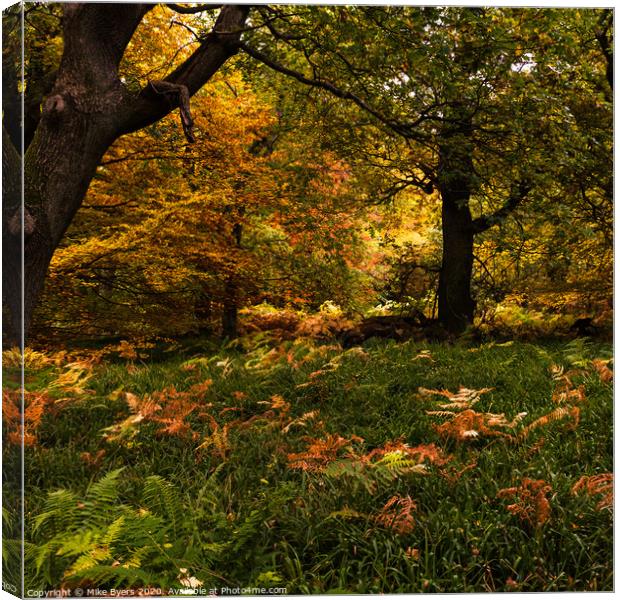 "Enchanting Autumn Tapestry" Canvas Print by Mike Byers