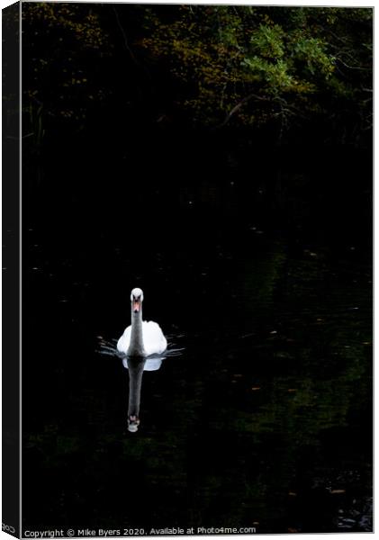 "Graceful Swan Glides Through Autumn Serenity" Canvas Print by Mike Byers