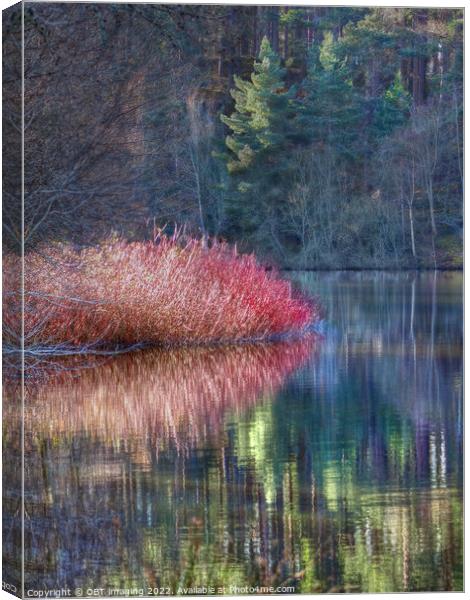 Winter Pink Pine Light Loch Reflection Highland Scotland Canvas Print by OBT imaging