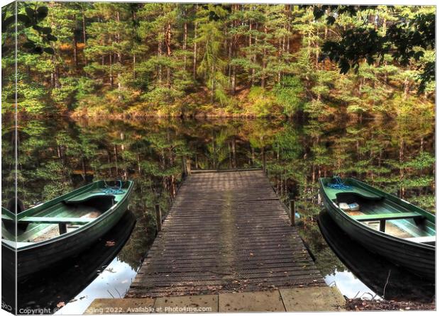 Twin Boat Pine Loch Reflection Millbuies Morayshire  Canvas Print by OBT imaging