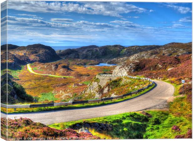 On The North Coast 500 Route Rural Assynt West Coast Highland Scotland Canvas Print by OBT imaging