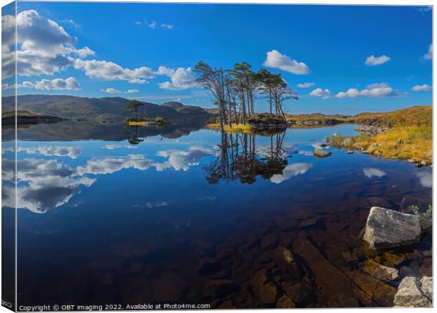 Loch Assynt Autumn Pine Reflection West Highland Scotland Canvas Print by OBT imaging