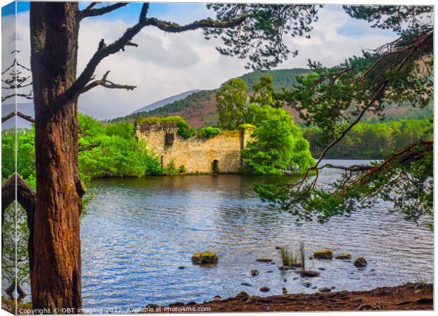 Loch An Eilein From The Pines Rothiemurchus Cairngorms Scottish Highlands  Canvas Print by OBT imaging