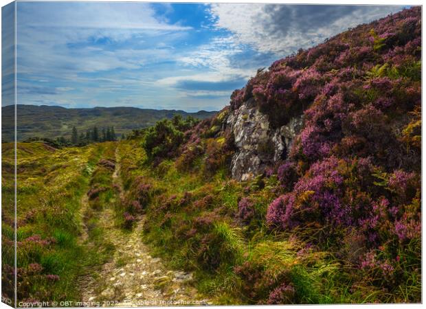Ancient Drovers Road Heather Clad Assynt West Highland Scotland Canvas Print by OBT imaging