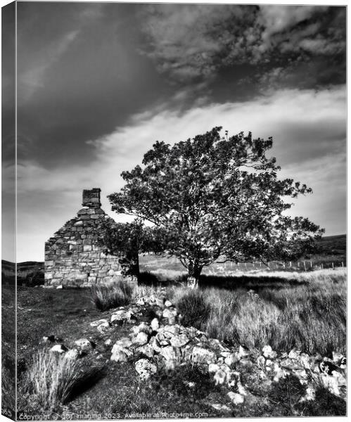 Abandoned House Gable And Tree Highland Scotland Canvas Print by OBT imaging