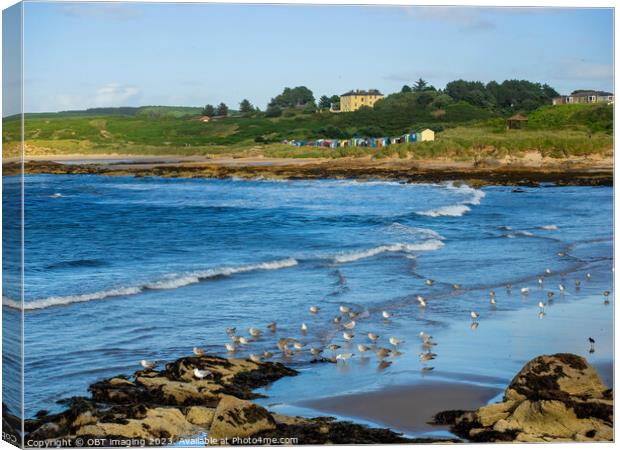 Hopeman Beach Bay & Beach Huts Morayshire North East Scotland  Canvas Print by OBT imaging