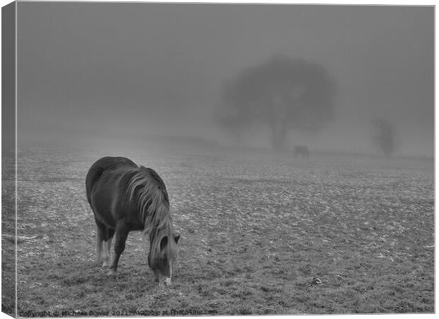 Black and white pony grazing in misty field Canvas Print by Michelle Bowler