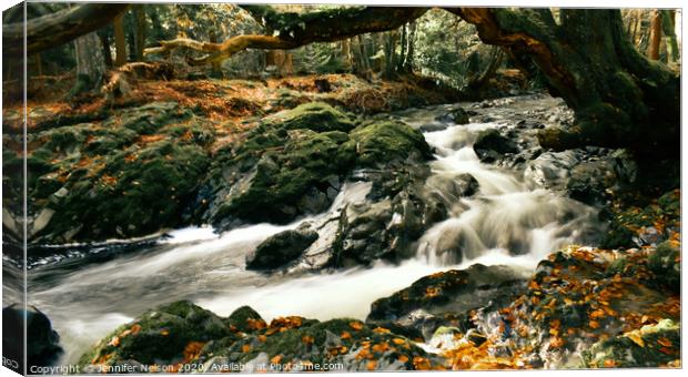 Shimna River - Tollymore Forest Canvas Print by Jennifer Nelson
