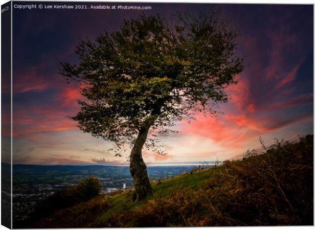 Radiant Solitude in the Cwmbran Landscape Canvas Print by Lee Kershaw