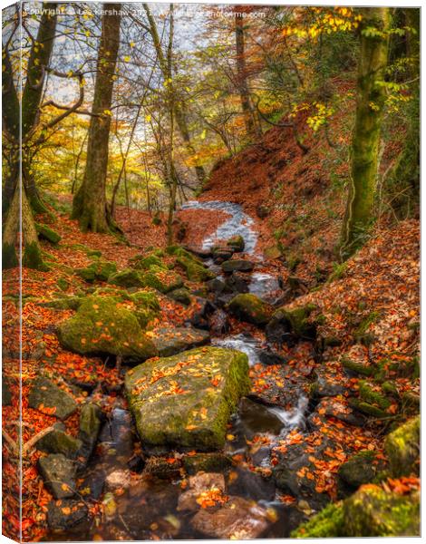 "Autumn's Enchanting Symphony" Canvas Print by Lee Kershaw