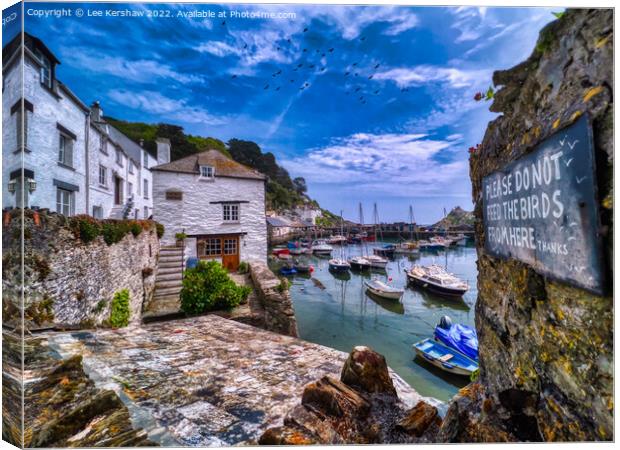 Please Don't Feed the Birds (at Polperro, Cornwall) Canvas Print by Lee Kershaw