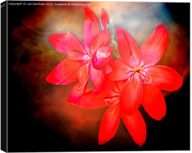 River Lily Canvas Print by Lee Kershaw