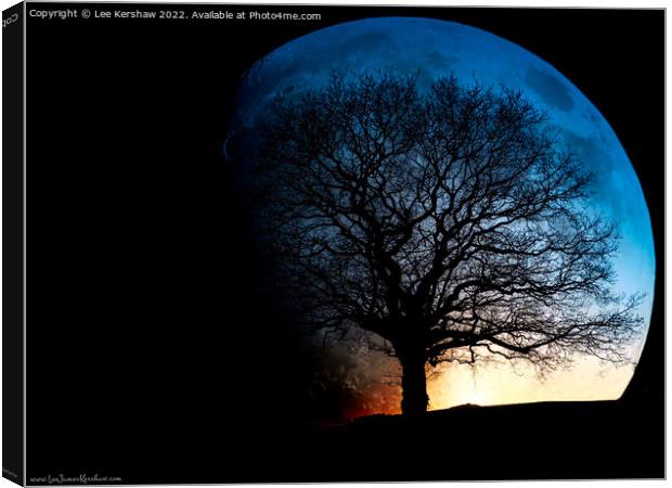 "Ethereal Lunar Silhouette" Canvas Print by Lee Kershaw