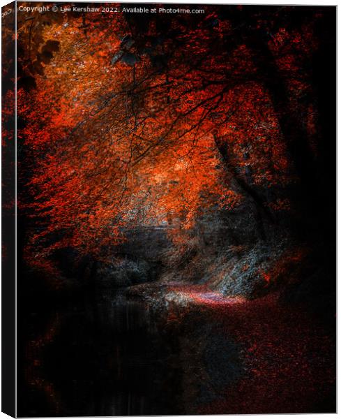 "Autumn's Glowing Pathway" Canvas Print by Lee Kershaw