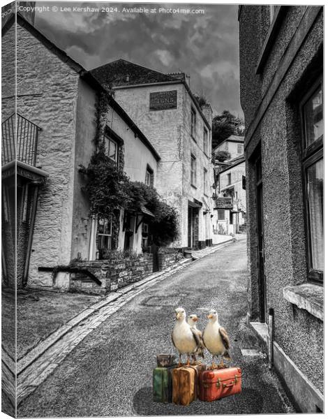 Even Seagulls Need a Holiday so why not in Looe Canvas Print by Lee Kershaw