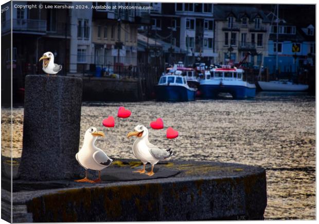 Love in Looe with the Pesky Birds Canvas Print by Lee Kershaw