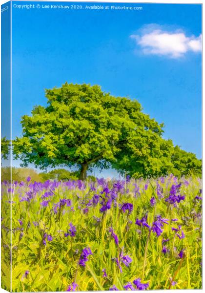 Spring Bluebells Canvas Print by Lee Kershaw